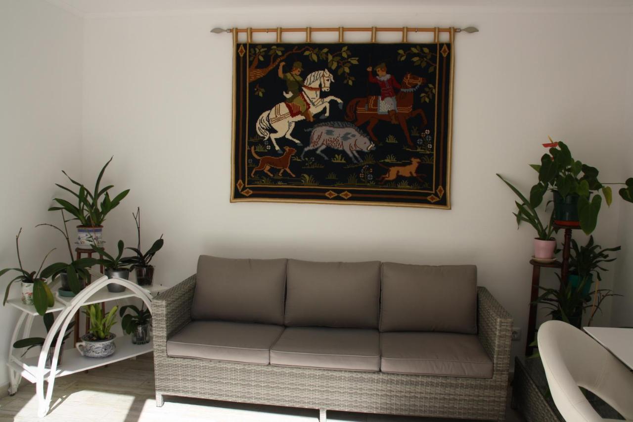 House Of Orchids With Patio Apartment วีลาเรอัลเดซานโตอันโตนิโอ ภายนอก รูปภาพ