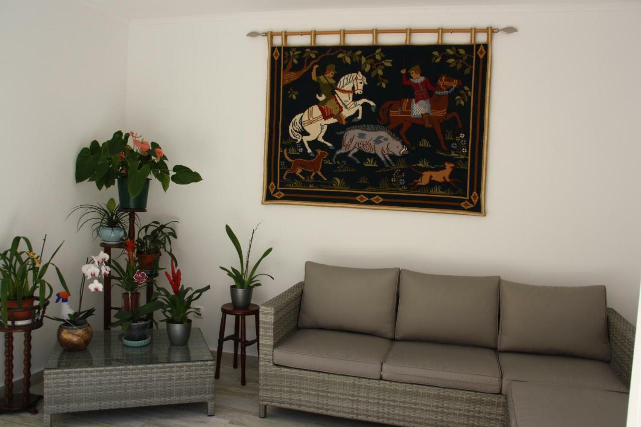 House Of Orchids With Patio Apartment วีลาเรอัลเดซานโตอันโตนิโอ ภายนอก รูปภาพ